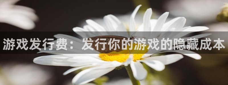 天辰平台开户的微博视频：游戏发行费：发行你的游戏的隐藏成本