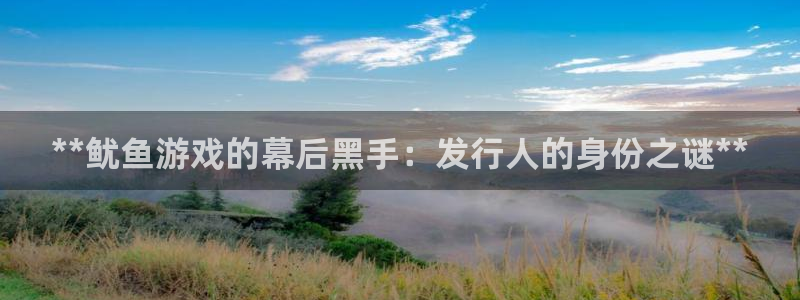 天辰平台注册登录地址在哪里改：**鱿鱼游戏的幕后黑手：发行人的身份之谜**
