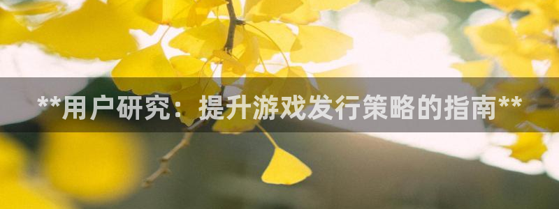 天辰线路测试：**用户研究：提升游戏发行策略的指南**