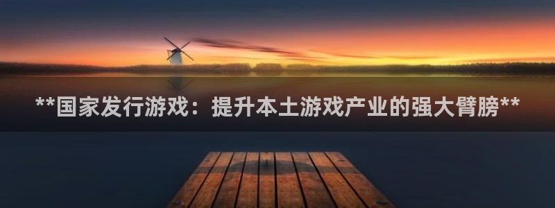 天辰会员注册链接怎么打开：**国家发行游戏：提升本土游戏产业的强大臂膀**