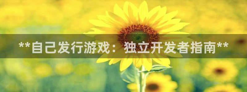 天辰平台墙44262：**自己发行游戏：独立开发者指南**