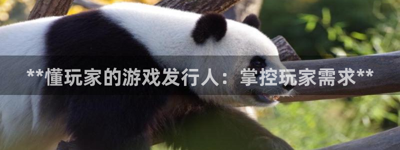 天辰平台注册地址在哪里：**懂玩家的游戏发行人：掌控玩家需求**