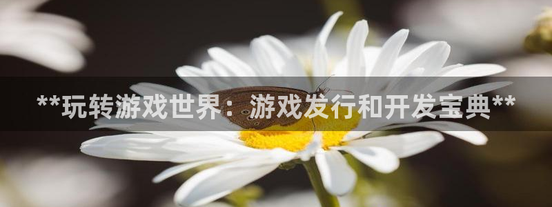 天辰测速希希游戏：**玩转游戏世界：游戏发行和开发宝典**