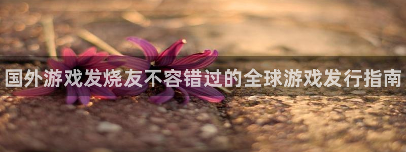 天辰平台话 411O31 平台：国外游戏发烧友不容错过的全球游戏发行指南