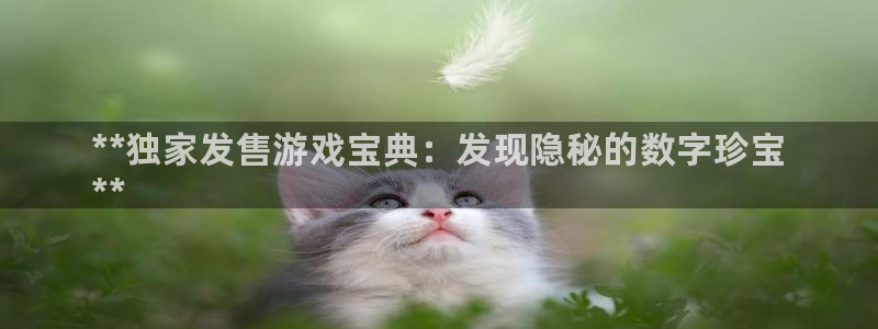 天辰平台挂机