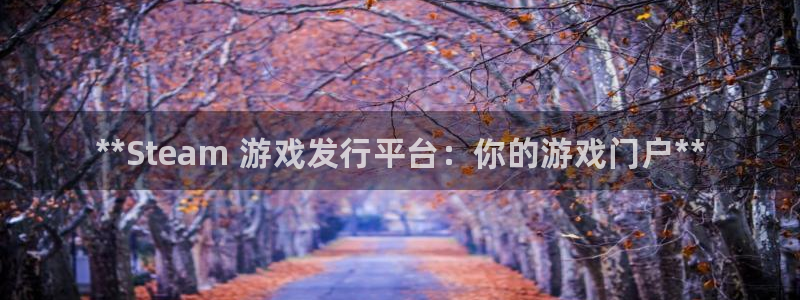 天辰娱乐代理注册平台登录系统官网：**Steam 游戏发行平台：你的游戏门户**