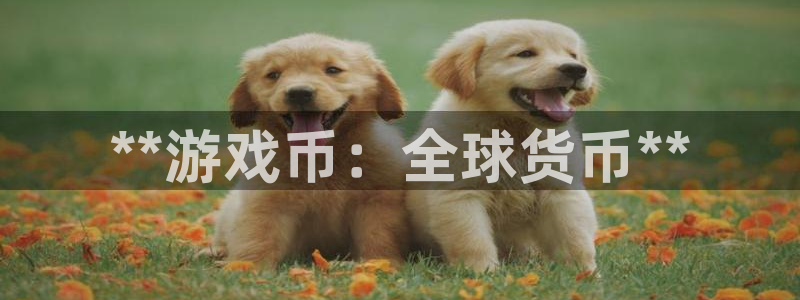 天辰平台注册地址怎么填：**游戏币：全球货币**