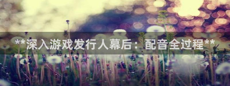 天辰平台用户登录不上怎么办：**深入游戏发行人幕后：配音全过程**