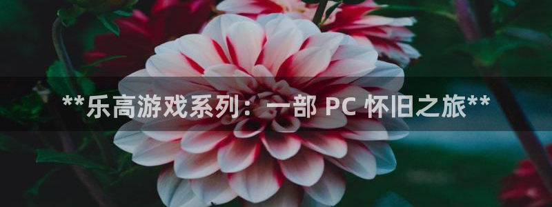 天辰平台网址：**乐高游戏系列：一部 PC 怀旧之旅**