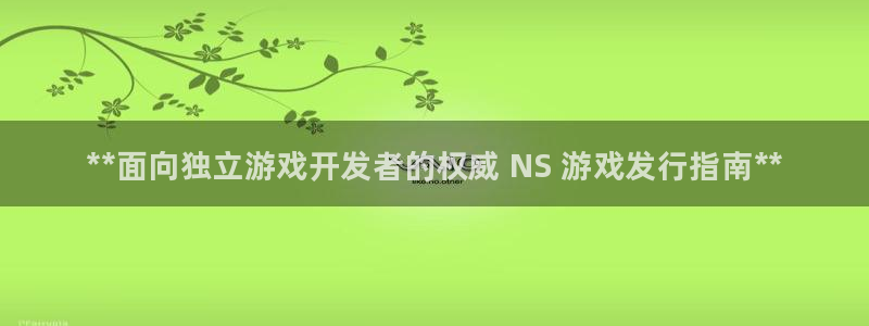 天辰平台用户登录入口网址：**面向独立游戏开发者的权威 NS 游戏发行指南**